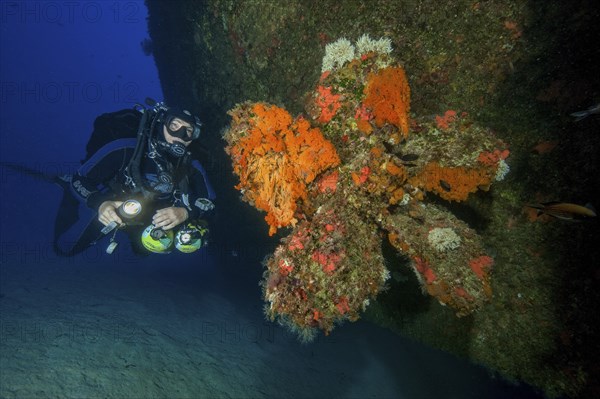 Diver with special equipment Stages additional diving cylinders for different gas mixtures Breathing gases for deep dives Deep diving dives to the seabed Seabed looks down on illuminated propeller of shipwreck, Mediterranean Sea