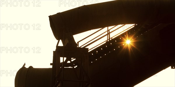 The sun shines through large former industrial pipes in the Westpark with a pigeon, industrial culture, Bochum, Ruhr area, North Rhine-Westphalia, Germany, Europe