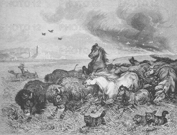 Wild horses and bison flee in panic from a prairie fire, Montana, 1895, USA, Historical, digitally restored reproduction from a 19th century original, Record date not stated, North America