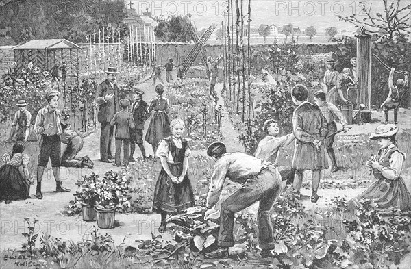 Gardening, School, Children in the community school garden in Friedenau near Berlin, in 1895, Germany, Historical, digitally restored reproduction from a 19th century original, Record date not stated, Europe