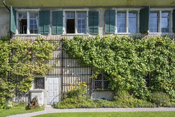 Detail of an old residential building with vines on the façade, Ittingen Charterhouse, Warth-Weiningen near Frauenfeld, Canton Thurgau, Switzerland, Europe