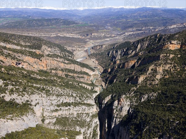 Comprehensive view of a wide, meandering gorge surrounded by green trees and rocky mountains, aerial view, Congost de Mont-rebei gorge, Noguera Ribagorçana Mont-rebei Natural Park, Montsec mountain range, Noguera Ribagorçana river, Lleida province, Catalonia, Aragon, Spain, Europe