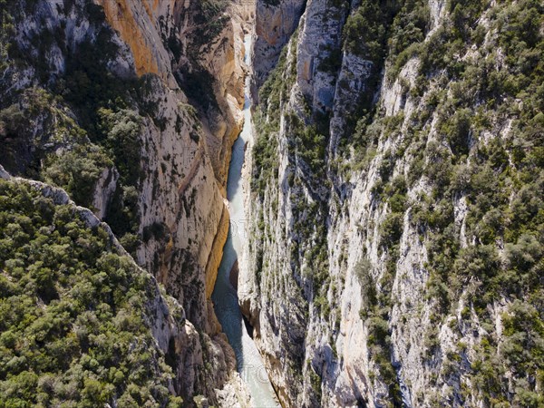 Deep gorge with a narrow river at the bottom and dense green trees on the rocks, aerial view, Congost de Mont-rebei gorge, Noguera Ribagorçana Mont-rebei Natural Park, Montsec mountain range, Noguera Ribagorçana river, Lleida province, Catalonia, Aragon, Spain, Europe