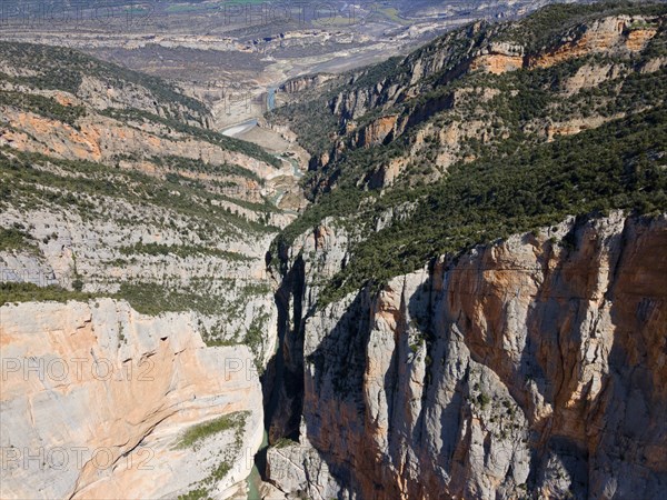 Impressive view of a deep rocky gorge covered with green trees in a mountainous landscape, aerial view, Congost de Mont-rebei gorge, Noguera Ribagorçana Mont-rebei Natural Park, Montsec mountain range, Noguera Ribagorçana river, Lleida province, Catalonia, Aragon, Spain, Europe