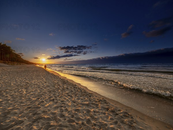 A man walks at sunset on the sandy beach on the island of Usedom on the Baltic Sea, Zempin, Mecklenburg-Vorpommern, Germany, Europe