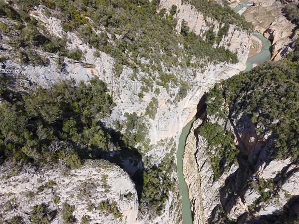 An aerial view of a deep, vegetation-rich gorge with a meandering river and steep rock faces, aerial view, Congost de Mont-rebei gorge, Noguera Ribagorçana Mont-rebei Natural Park, Montsec mountain range, Noguera Ribagorçana river, Lleida province, Catalonia, Aragon, Spain, Europe