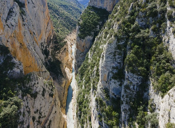 A river flows through a deep, narrow gorge with high, wooded rock faces and lots of greenery, aerial view, Congost de Mont-rebei gorge, Noguera Ribagorçana Mont-rebei nature park Park, Montsec mountain range, Noguera Ribagorçana river, Lleida province, Catalonia, Aragon, Spain, Europe