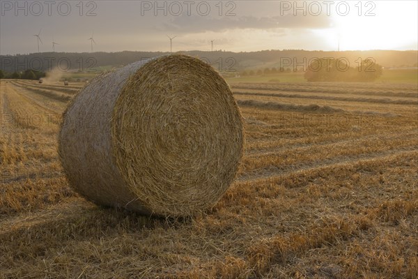 Harvest is brought in in front of the weather changes, harvest, grain field, Bibersfeld, Schwäbisch Hall, summer, July, wind turbine, wind energy, wind power plant, forest, field, agriculture, Schwäbisch-Franconian Forest nature park Park, Schwäbisch Hall, Hohenlohe, Heilbronn-Franconia, Baden-Württemberg, Germany, Europe