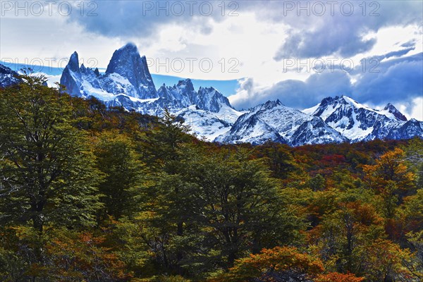 Fitz Roy El Chalten Santa Cruz, Argentina, South America