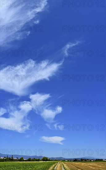 Cirrus or cirrus clouds in the blue sky over the mountains of the Bavarian Forest, Plattling, Lower Bavaria, Germany, Europe