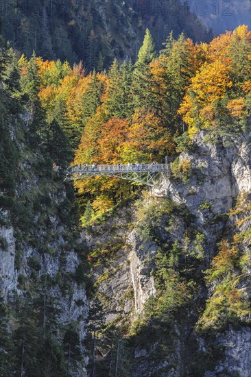 Tourists on the Marienbrücke, Schwangau near Füssen, AllgÃ¤u, Bavaria, Germany, Füssen, Bavaria, Germany, Europe