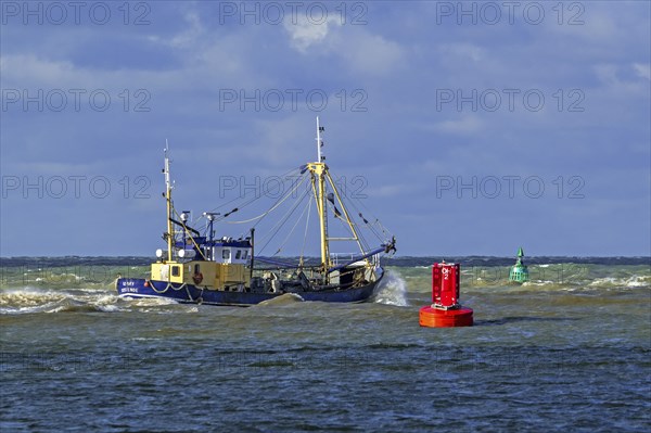 Shrimp cutter 0. 191 Romy leaving the Ostend port to go bottom trawling for shrimps along the North Sea coast on a stormy day, Belgium, Europe