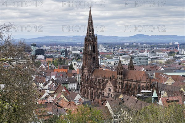 View from the Schlossberg to the Münsterplatz, the Freiburg Cathedral of Our Lady, Old Town, New Town, Freiburg im Breisgau, Baden-Württemberg, Germany, Europe