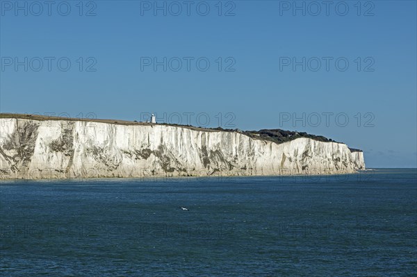 Chalk cliffs, cliffs, Dover, Kent, England, Great Britain