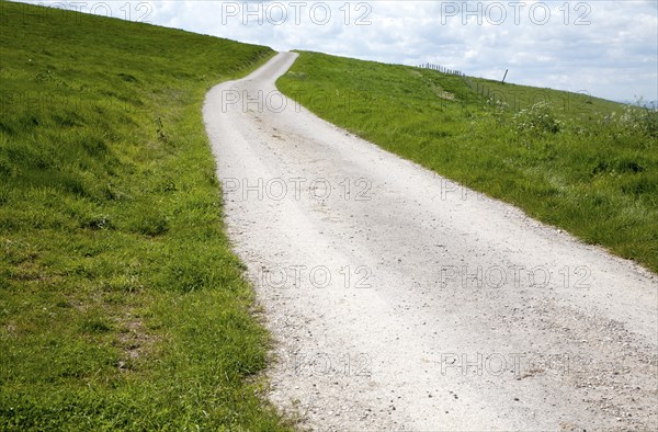 White pathway road on chalk downland Allington Down, Wiltshire, England, United Kingdom, Europe