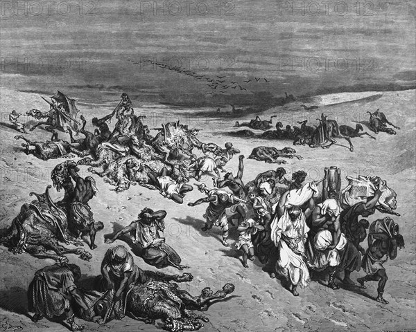 Bible, The Plague. First Book of Moses, Moses, Old Testament, Genesis, desert, emptiness, crowd, plague, suffering, death, fight, die, ulcer, historical illustration 1885