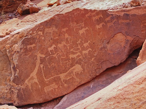 Rock paintings and rock carvings from Mesolithic cultures at a site in Twyfeltontein. Twyfelfontein, Kunene, Namibia, Africa