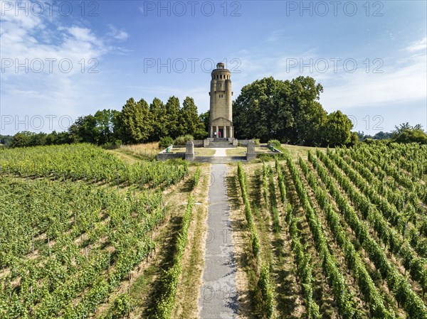 Aerial view of the Bismarck Tower on the Raiteberg in the northern part of the city of Constance, vineyards on Lake Constance, Constance County, Baden-Württemberg, Germany, Europe