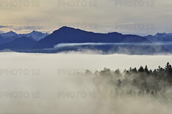 Forest shrouded in fog, the Rigi in the background, Horben viewpoint, Lindenberg, Freiamt, Canton Aargau, Switzerland, Europe