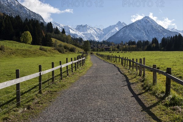 Kalkofenweg, snow-covered AllgÃ¤u Alps in the background, near Oberstdorf, OberallgÃ¤u, AllgÃ¤u, Bavaria, Germany, Europe