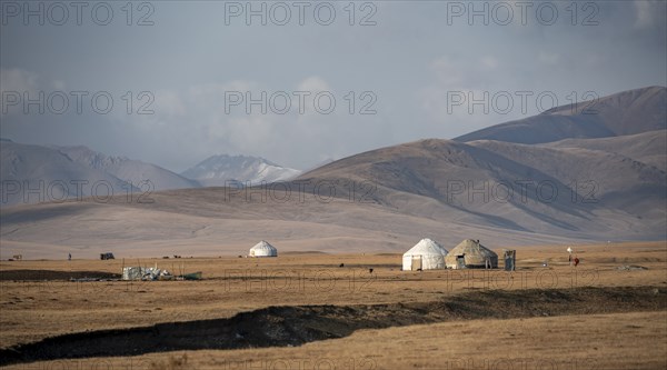 Yurts at Song Kul in autumn, Moldo Too Mountains, Naryn region, Kyrgyzstan, Asia