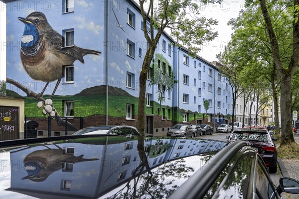 Residential buildings on Feldsieper StraÃŸe in Bochum, after an energy-efficient refurbishment, with facade insulation, the Bochumer WohnstÃ¤tten Wohnungsgenossenschaft had the buildings painted with a large mural by Dortmund graffiti artist Denis Klatt, it shows a bluethroat and a landscape with trees, life below ground and lots of sky on the entire facade, Bochum-Hamme, North Rhine-Westphalia, Germany, Europe