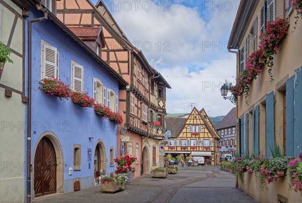 Well-kept half-timbered houses and floral decorations characterise the town centre of Eguisheim in Alsace. The town is classified as one of the Plus beaux villages de France. Eguisheim, Haut-Rhin, France, Europe