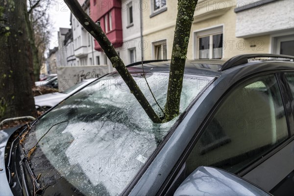 North Rhine-Westphalia, Germany, storm damage, a good 4 metre long branch was broken off by the storm during storm Zoltan and smashed through the windscreen of a parked vehicle, Essen, Europe