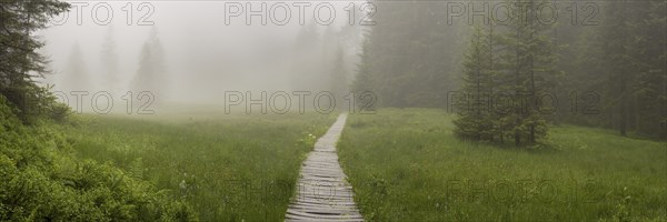 Hühnermoos on a cloudy day with fog, a high moor at Söllereck near Oberstdorf, AllgÃ¤u Alps, AllgÃ¤u, Bavaria, Germany, Europe