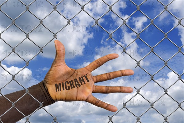 The hand of a foreigner behind a wire mesh fence, hole, loophole, help, refugee, asylum, migrant, migration, foreigner, black, African, visitor, remigration