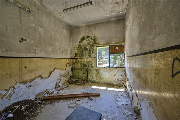 Peeling and moss-covered walls in an abandoned room with sunlight shining through a window, Lost Place, Former Santorium, Tuberculosis Centre 1947-1970, Former Italian Colonial Settlement, Eleousa, Campochiaro, Rhodes, Dodecanese, Greek Islands, Greece, Europe