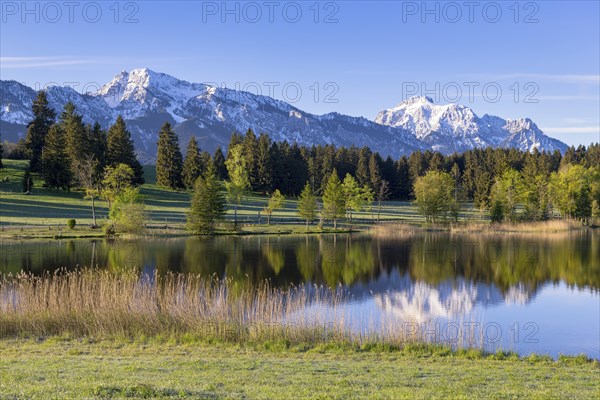 Hegratsrieder See near Füssen, AllgÃ¤u Alps, snow, AllgÃ¤u, Bavaria, Germany, Europe