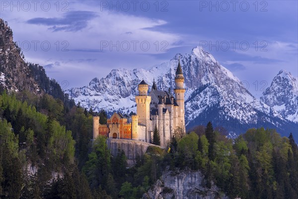 Neuschwanstein Castle near Füssen, Schwangau, AllgÃ¤u Alps, night shot, illuminated, snow, East AllgÃ¤u, Bavaria, Germany, Europe