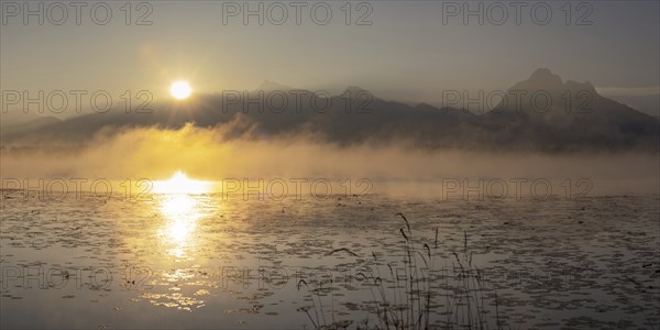 Sunrise at Lake Hopfensee near Füssen, behind Hopfen am See, the Tegelberg massif and the SÃ¤uling, OstallgÃ¤u, AllgÃ¤u, Upper Swabia, Swabia, Bavaria, Germany, Europe