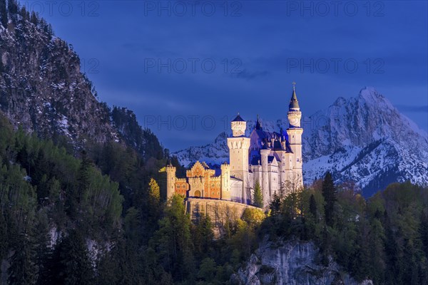 Neuschwanstein Castle near Füssen, Schwangau, AllgÃ¤u Alps, night shot, illuminated, snow, East AllgÃ¤u, Bavaria, Germany, Europe