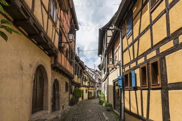 Medieval village and colourful half-timbered houses, Eguisheim, Plus beaux villages de France, Haut-Rhin, Alsace, Alsace, France, Europe