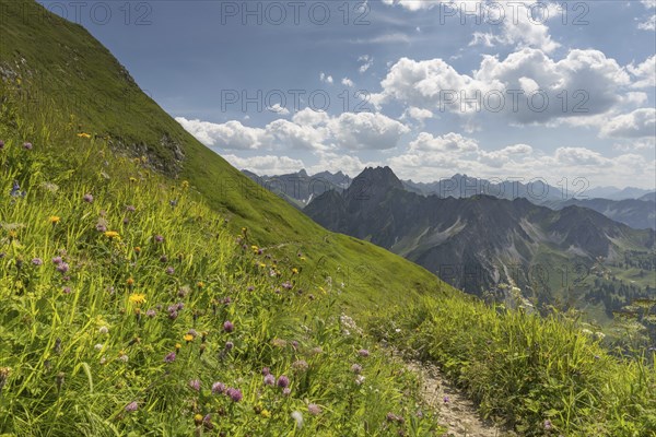 Laufbacher Eck-Weg, a panoramic high-altitude trail from the Nebelhorn into the Oytal, behind the Höfats, 2259m, AllgÃ¤u Alps, AllgÃ¤u, Bavaria, Germany, Europe