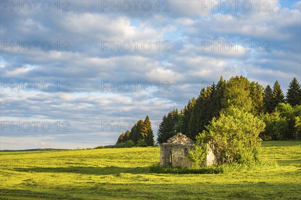 Dilapidated ruin of a stone hut on a freshly mown meadow in the evening light, Swabian Alb, Münsingen, Baden-Württemberg, Germany, Europe