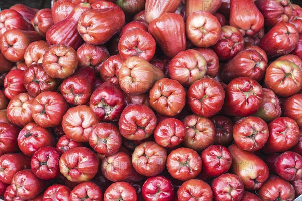 Stack of fresh rose apples on the market