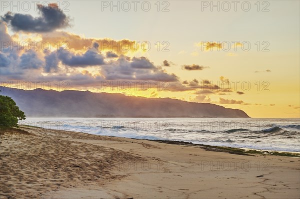 Landscape of a tropical Beach on Oahu by suset, Hawaiian Island Oahu, OÊ»ahu, Hawaii, Aloha State, United States, North America