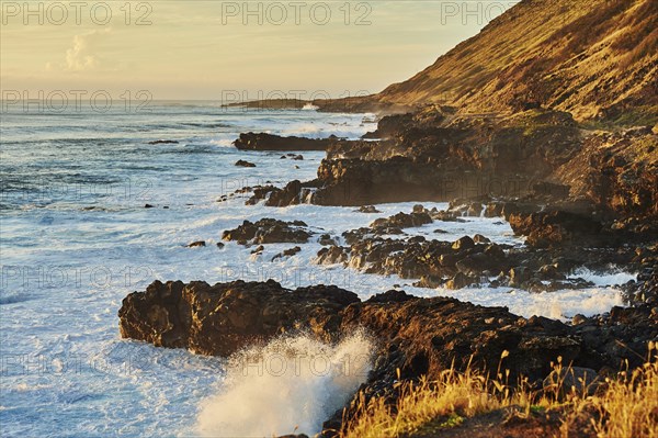 Landscape of the beach at KaÊ»ena Point State Park, Hawaiian Island Oahu, OÊ»ahu, Hawaii, Aloha State, United States, North America