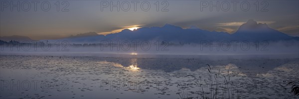 Sunrise at Lake Hopfensee near Füssen, behind Hopfen am See, the Tegelberg massif and the SÃ¤uling, OstallgÃ¤u, AllgÃ¤u, Upper Swabia, Swabia, Bavaria, Germany, Europe