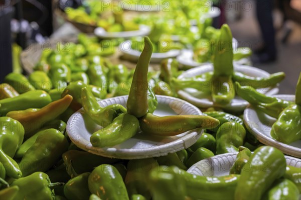 Oaxaca, Mexico, Peppers on sale at the Benito Juarez Market. Opened in 1894, it is one of the largest and oldest markets in Oaxaca. Its many dozen stalls sell food of every kind, clothing, souvenirs, and more, Central America