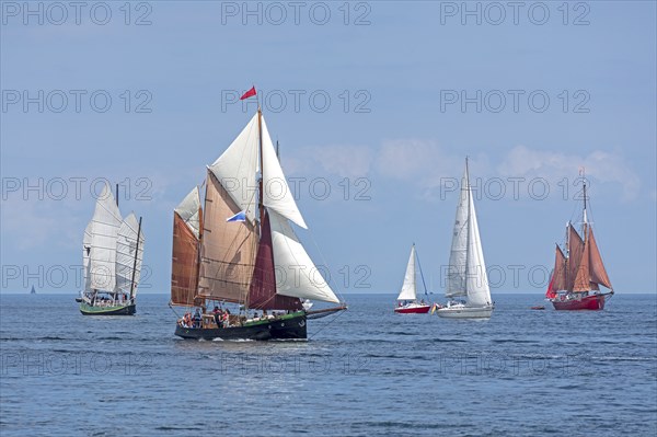 Sailing ships, starfish, sailing boats, Kiel Week, Kiel Fjord, Kiel, Schleswig-Holstein, Germany, Europe