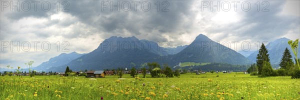 Loretto meadows near Oberstdorf, behind Oberstdorf and the AllgÃ¤u Alps, AllgÃ¤u, Bavaria, Germany, Europe