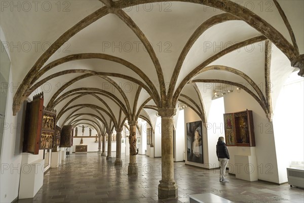 Gothic Hall, Gottorf Castle, Schleswig, Schleswig-Holstein, Germany, Europe