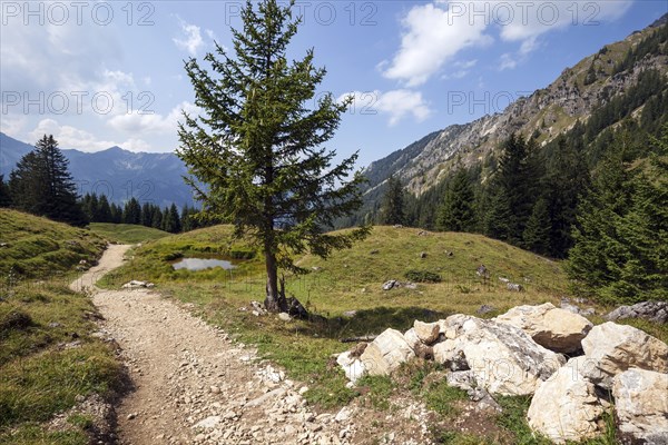 Jubilee trail in the mountain landscape of the AllgÃ¤u Alps, near Willersalpe, near Hinterstein, Bad Hindelang, OberallgÃ¤u, AllgÃ¤u, Bavaria, Germany, Europe