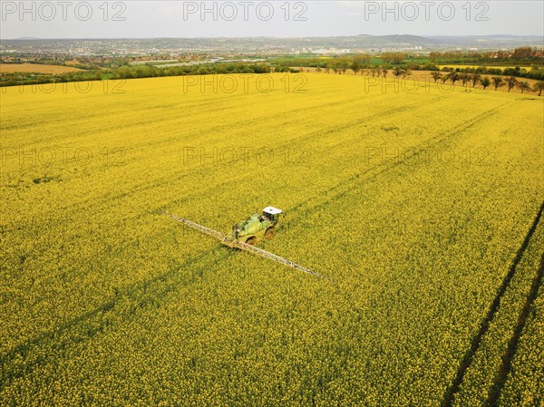 Crop protection products are applied to a rapeseed field on the outskirts of Dresden