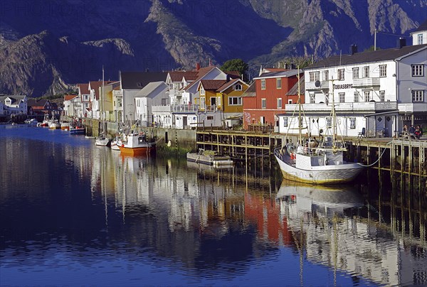 Fishing boats and wooden houses reflected in the small harbour of Henningsvaer, fishing, evening light, Lofoten, Nordland, Norway, Europe