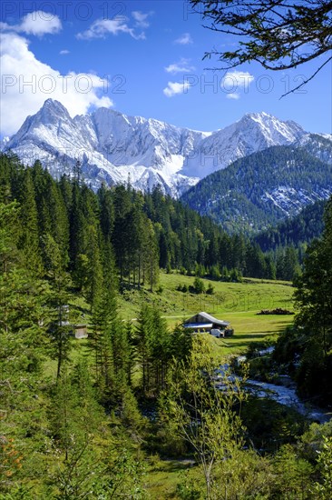 In Gleirschtal, on the way to Möslalm, Pfeishütte, behind Kumpfkarspitze and Kemacherspitze, Isartal near Scharnitz, Karwendelgebirge, Tyrol, Austria, Europe